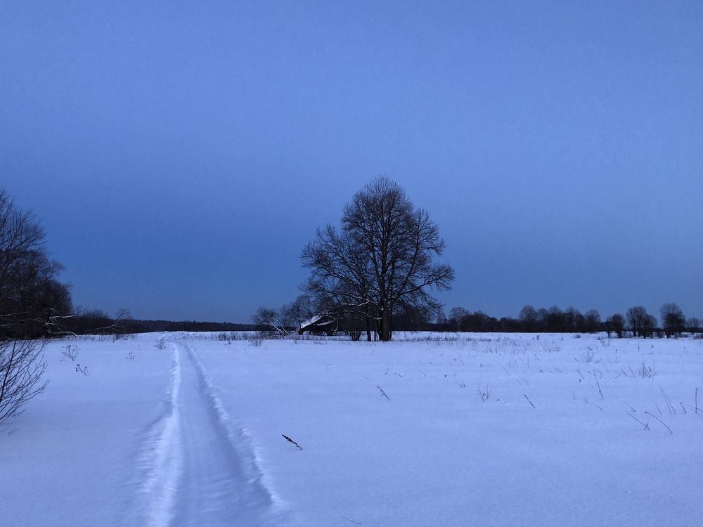 Photograph by Юлия Отставнова