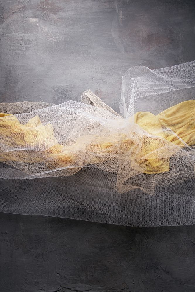 Photograph by Алексей Дивнич