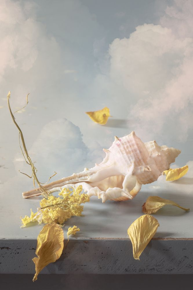 Photograph by Willy Sengers