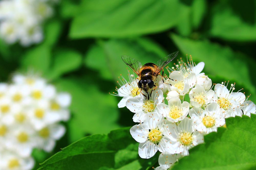 Photograph by Алина Едрянкина