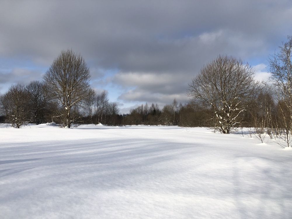 Photograph by Юлия Отставнова