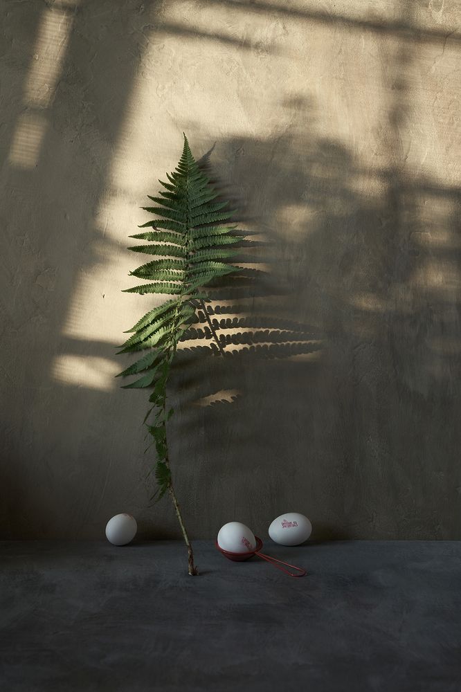 Photograph by Алексей Дивнич