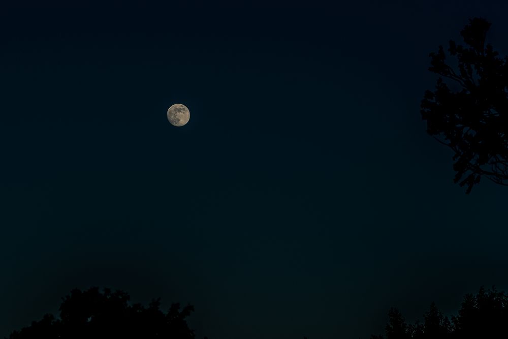 Photograph by Архипов Михаил