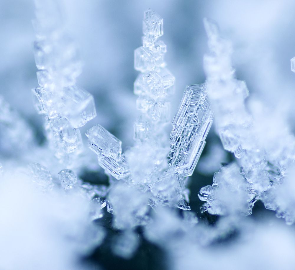 Photograph by Эльвира Быкова