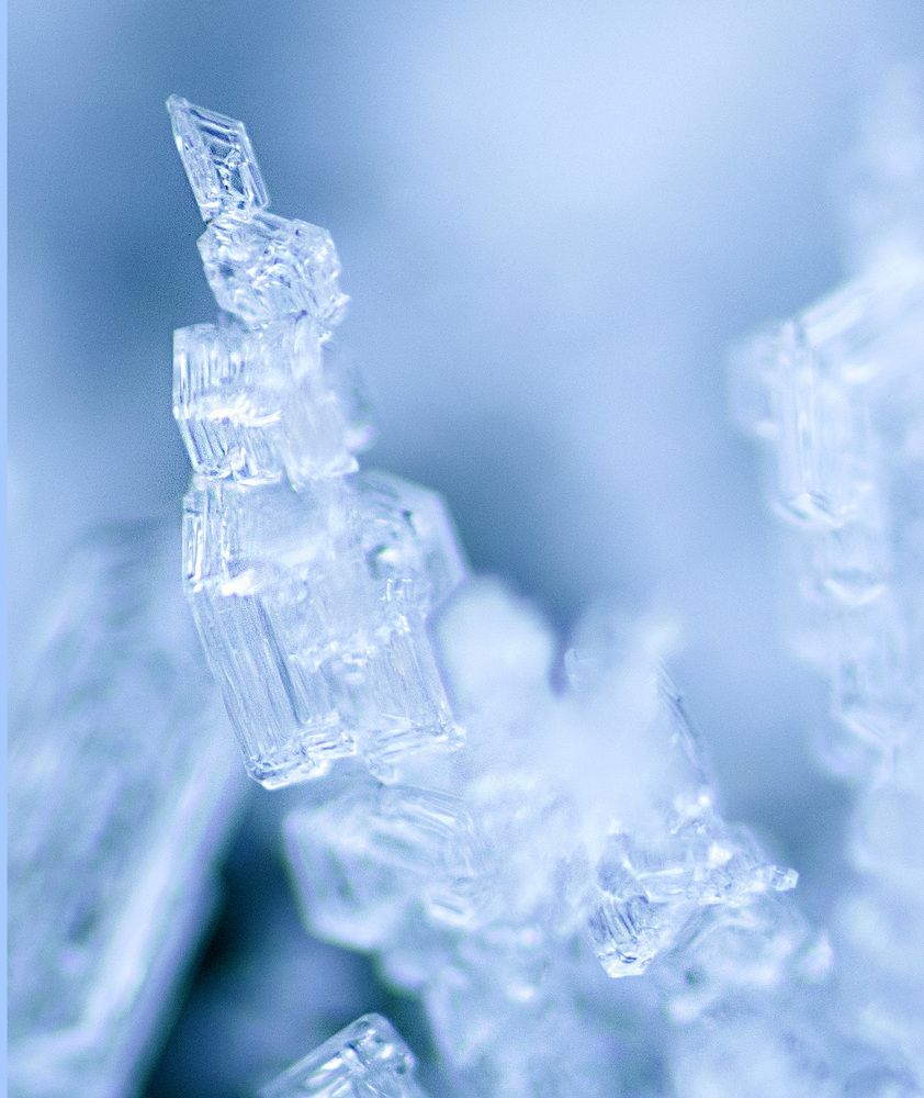 Photograph by Эльвира Быкова