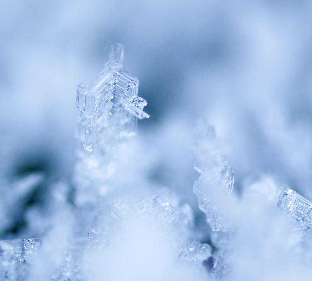 Photograph by Эльвира Быкова