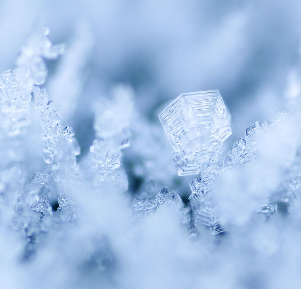 Photograph by Эльвира Быкова