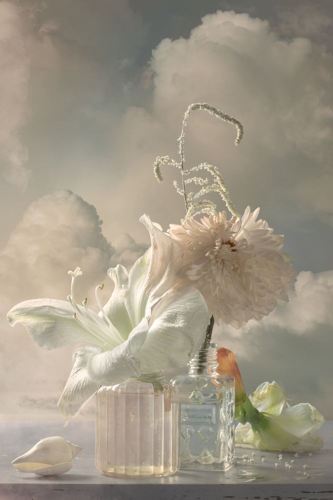 Photograph by Willy Sengers