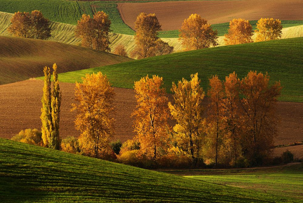 Photograph by Matejček Peter