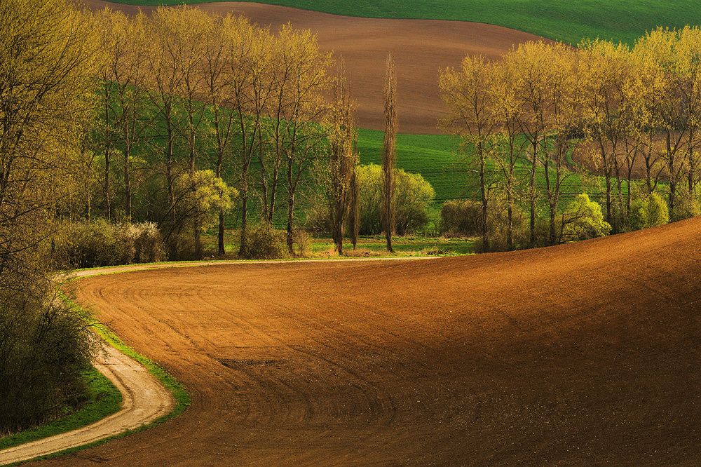 Photograph by Matejček Peter