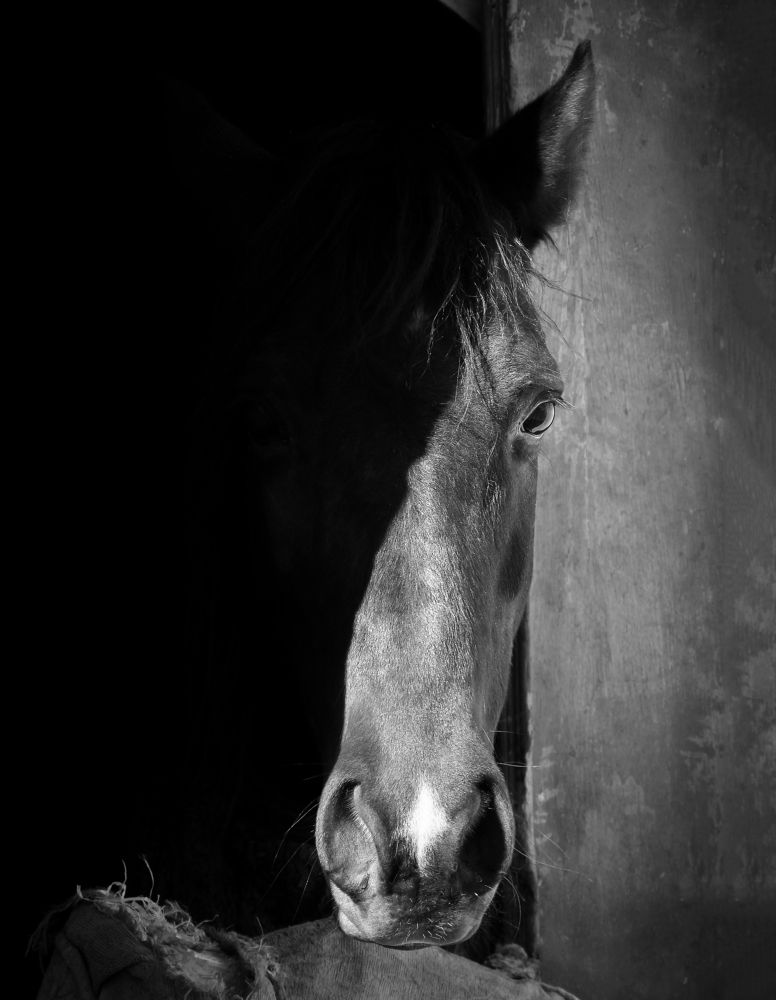 Photograph by safoura asghari