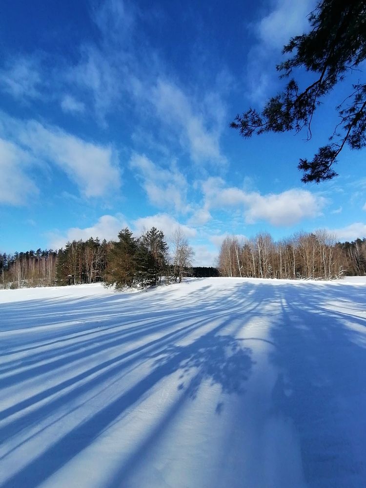 Photograph by Krystyna