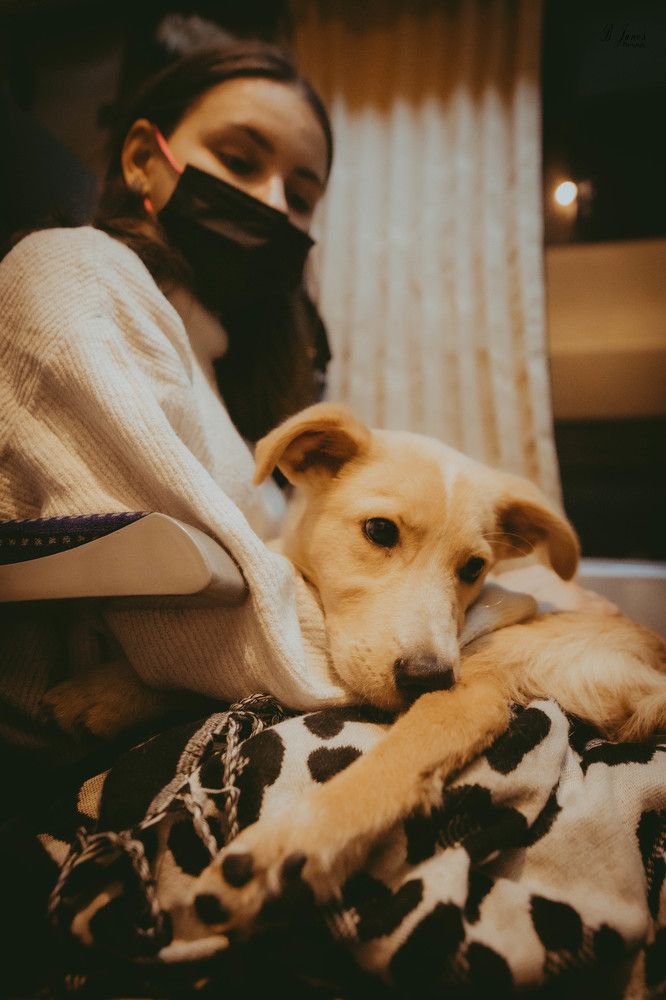 Photograph by Janos Bartha