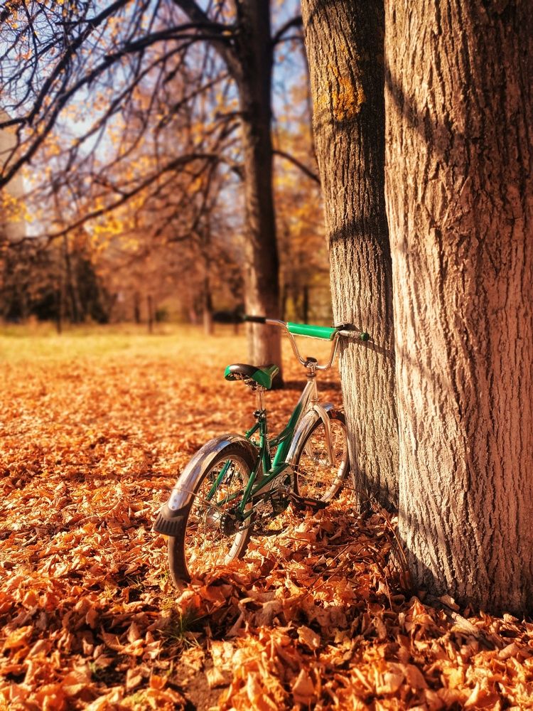 Photograph by Олег Титкин