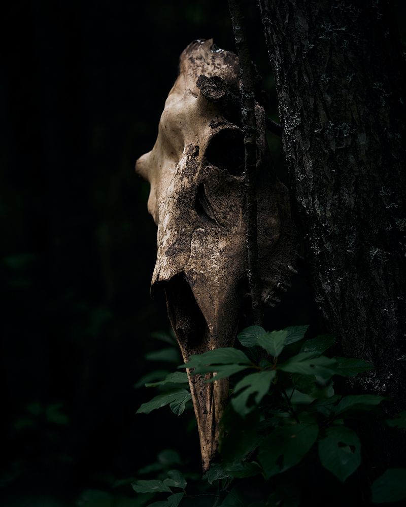 Фотография автора Александр Османов