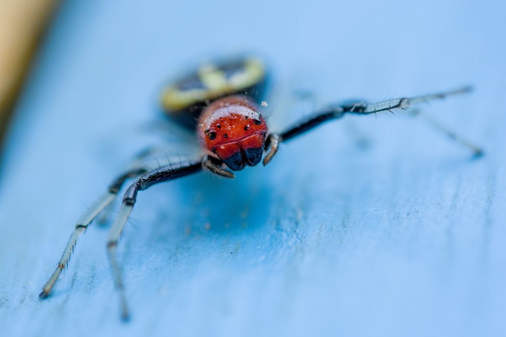 Photograph by Dhrubajyoti Bhattacharyya