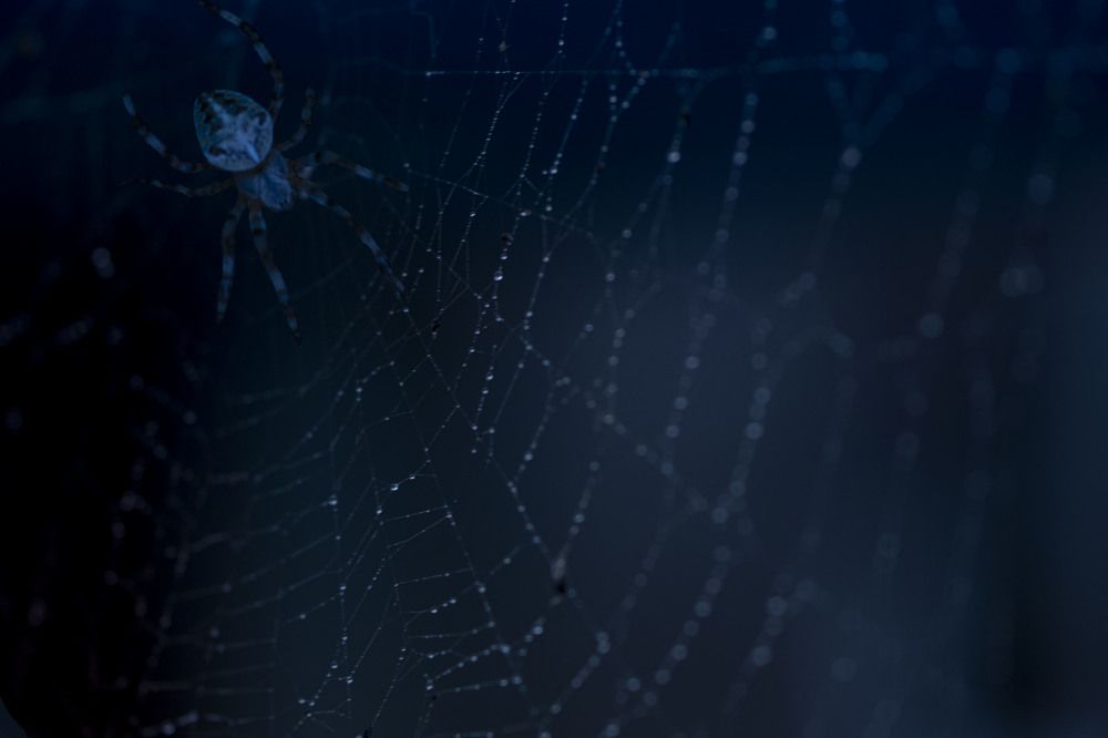 Photograph by Сергей Марков