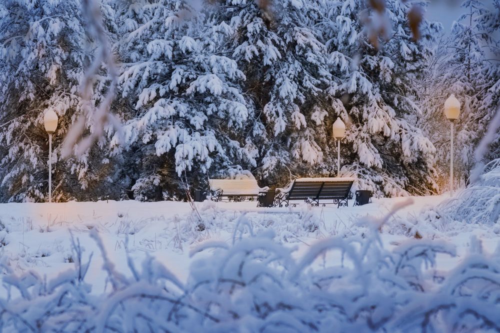 Photograph by Татьяна Колесникова