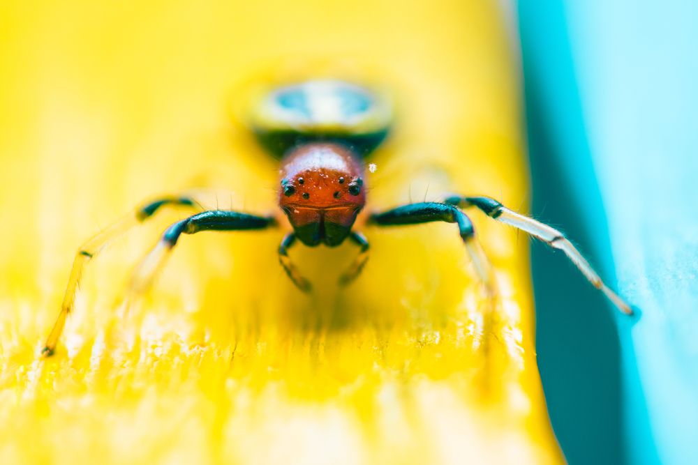 Photograph by Dhrubajyoti Bhattacharyya