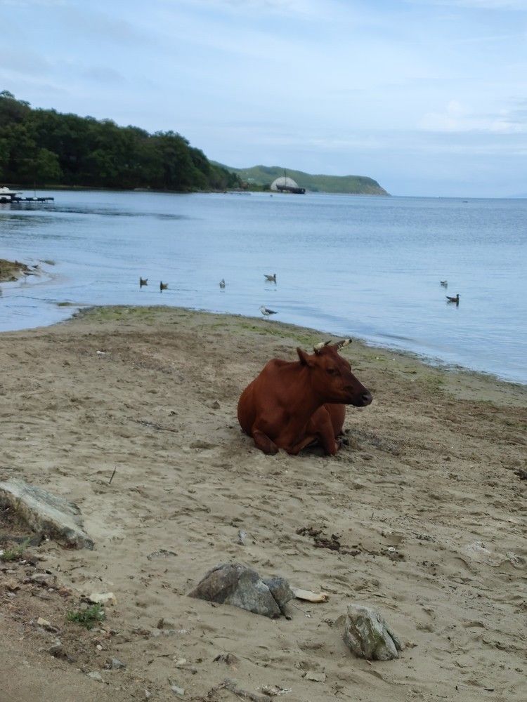 Photograph by Людмила Воропаева