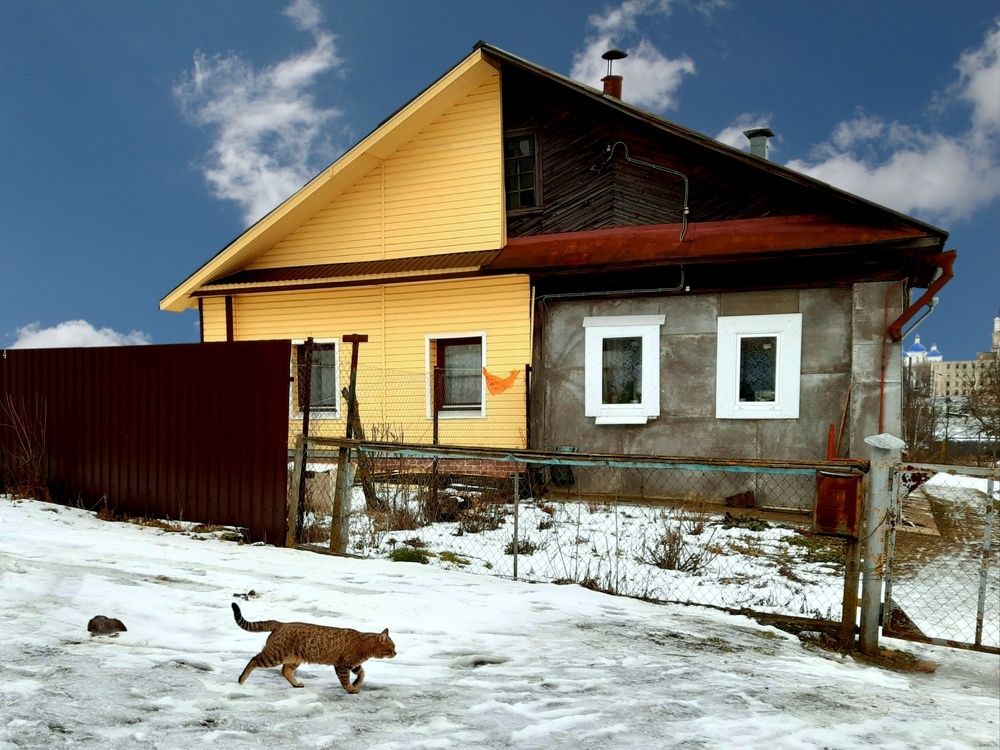 Мартовский кот