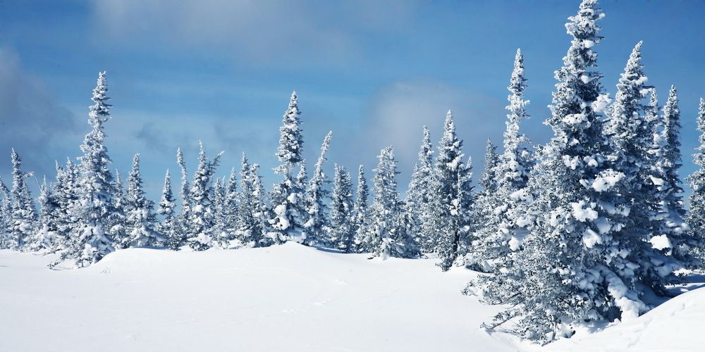 Фотография автора Игорь Чаплин