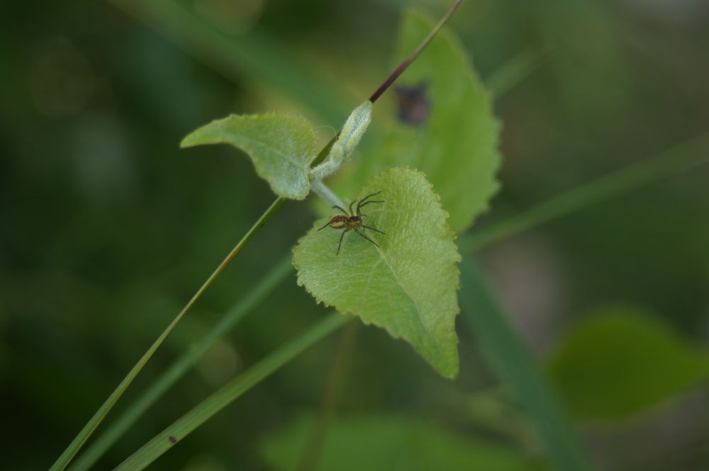 Photograph by Дмитрий Малышев