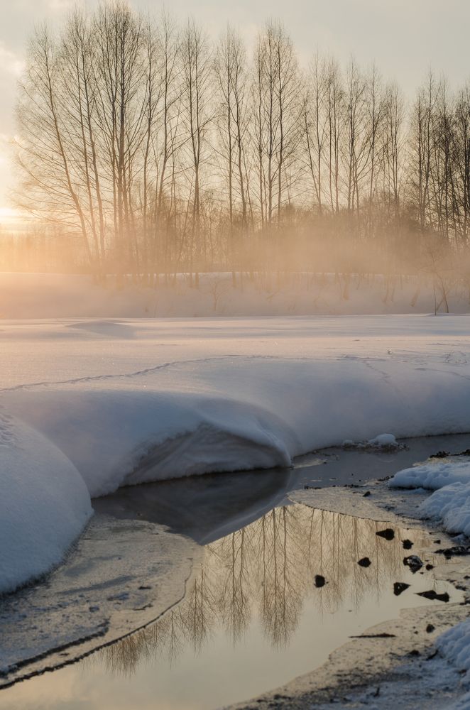 Photograph by Nadezhda  Romashina