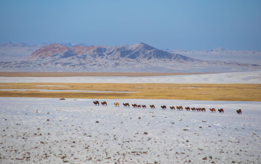 Alag mountain (Agvash island)