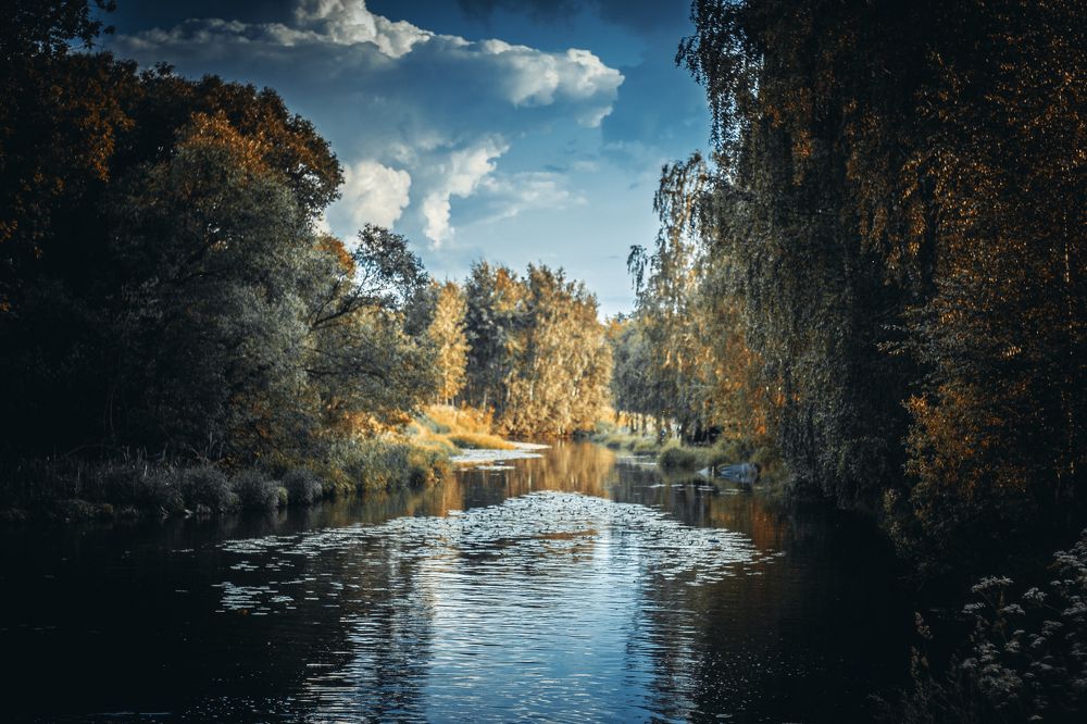 Photograph by Максим Косяков