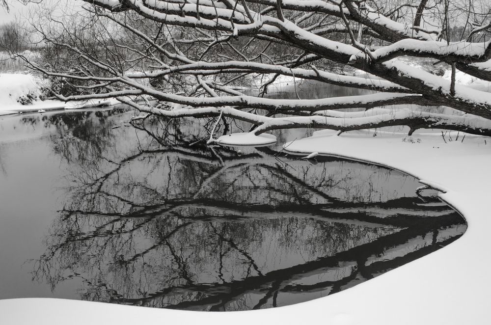 Photograph by Nadezhda  Romashina