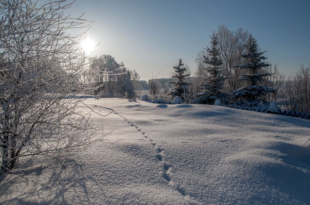 Photograph by Светлана