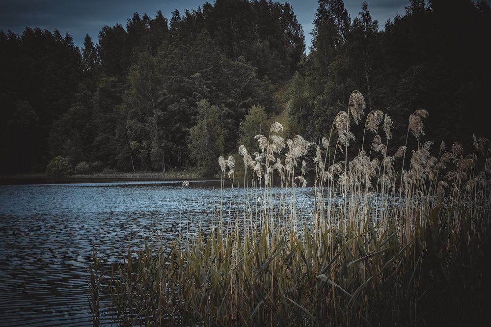 Photograph by Максим Косяков