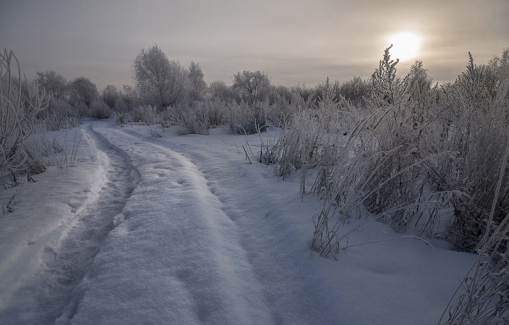Photograph by Алексей Дивнич