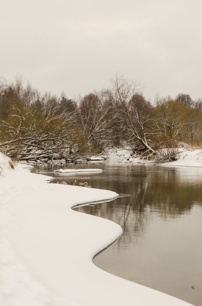 Photograph by Nadezhda  Romashina