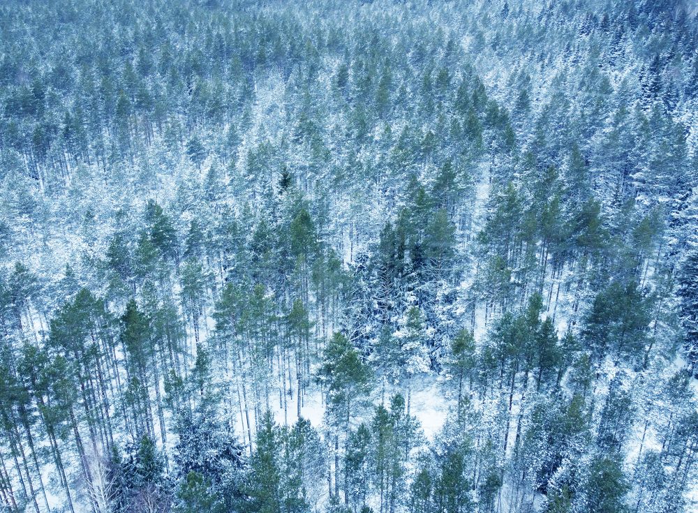 Photograph by Павел Минкевич