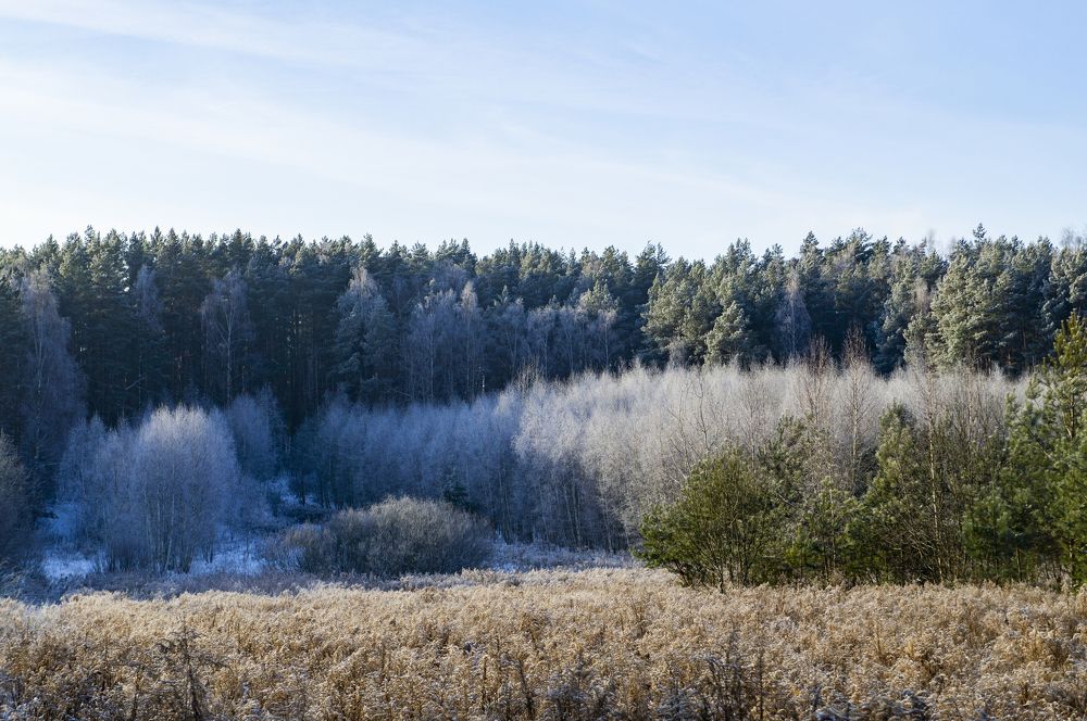 Photograph by Павел Минкевич