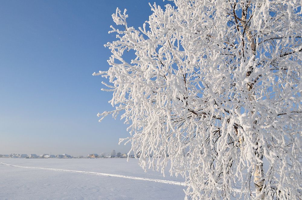 Photograph by Светлана