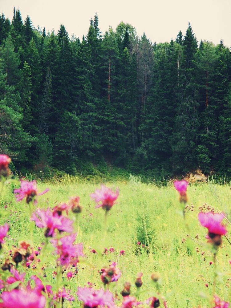 Photograph by Наталья Минина