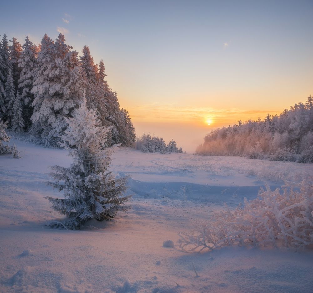 Photograph by Устюжанин Михаил