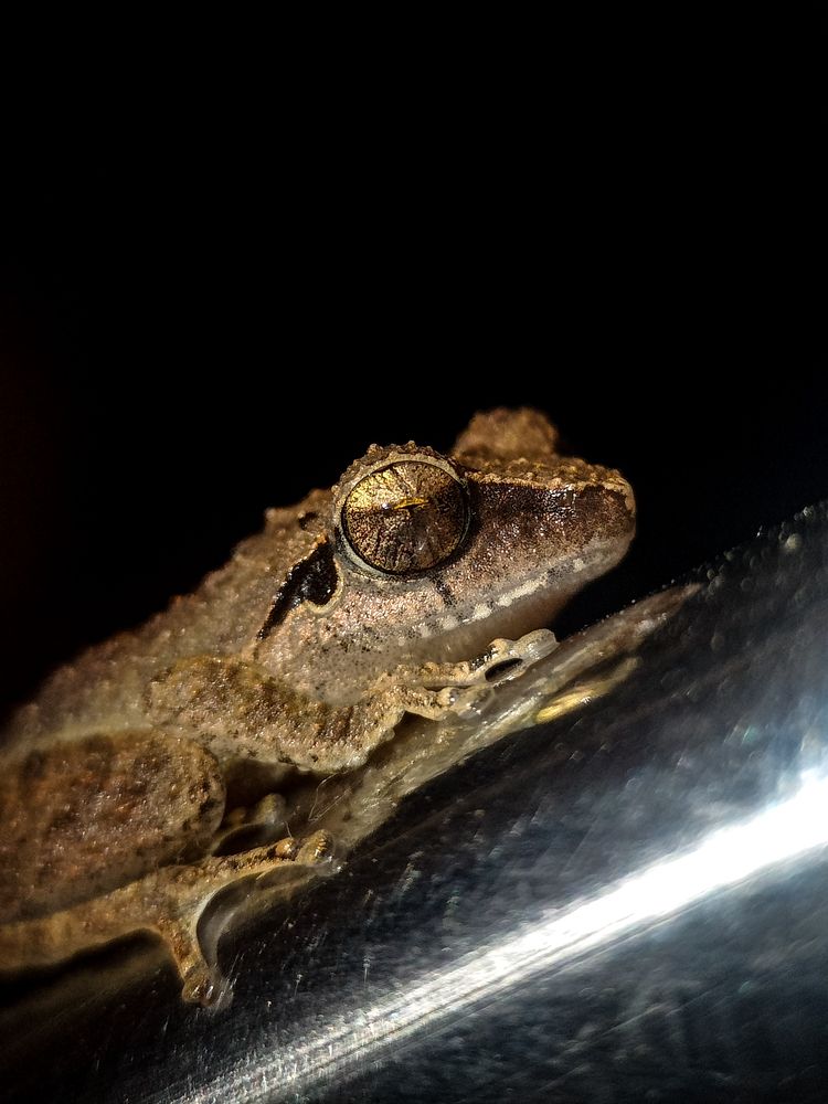 Photograph by Mridhula P M