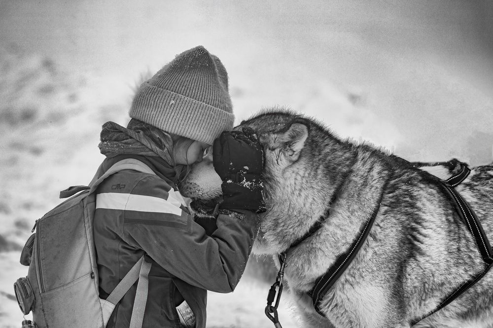 Photograph by Adrian Grigore