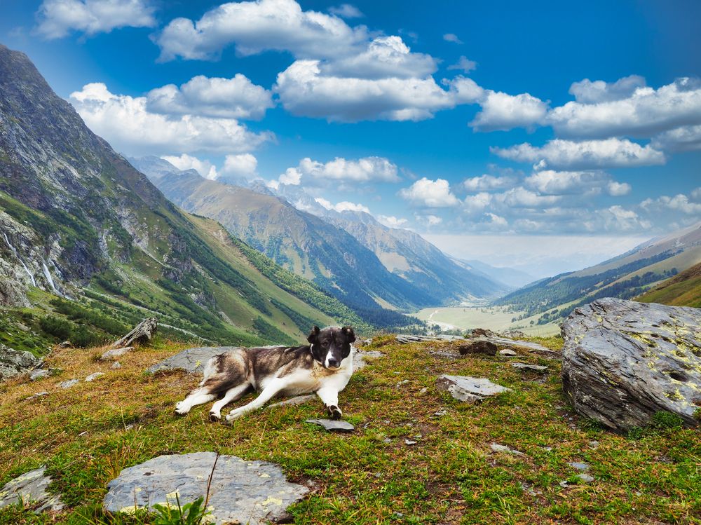 Вид на Софийскую долину