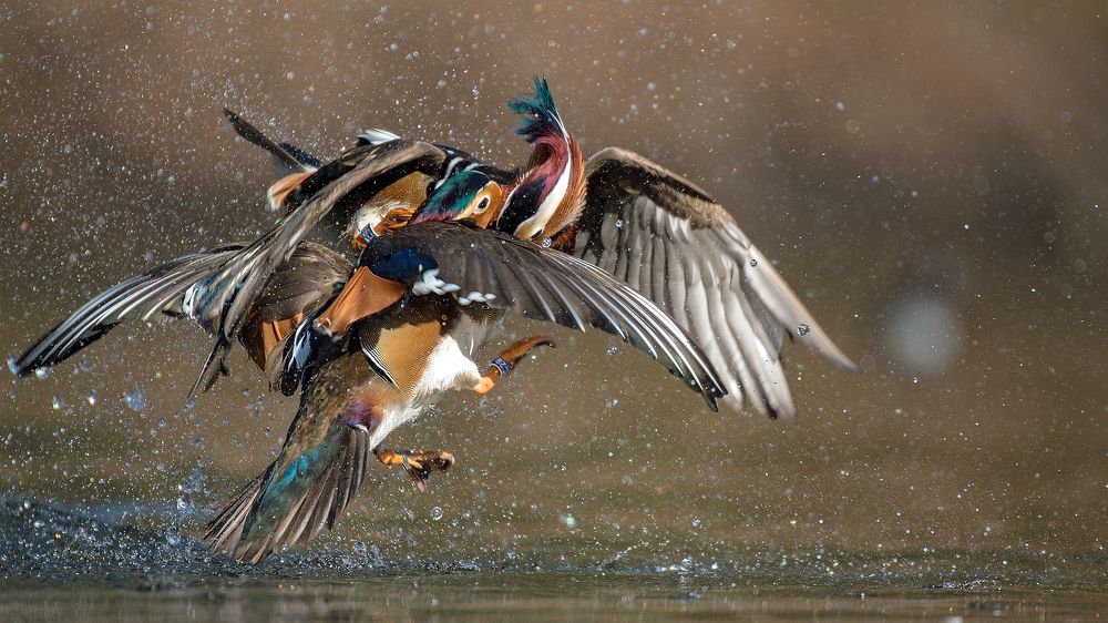 Photograph by Urszula Frydrych