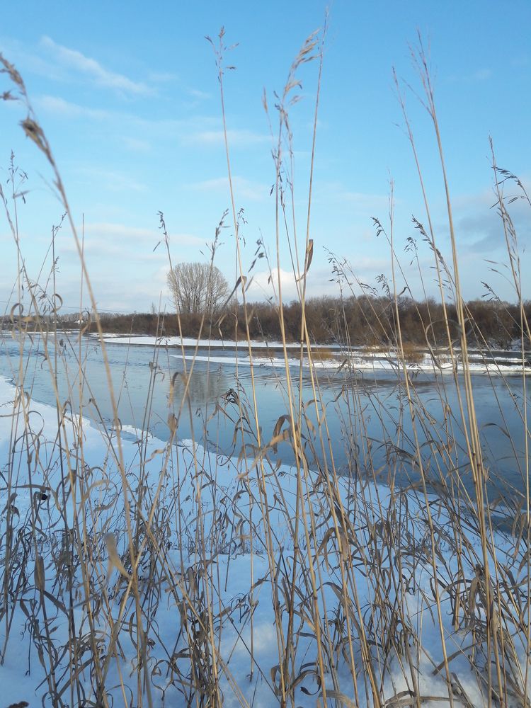 Photograph by Елена