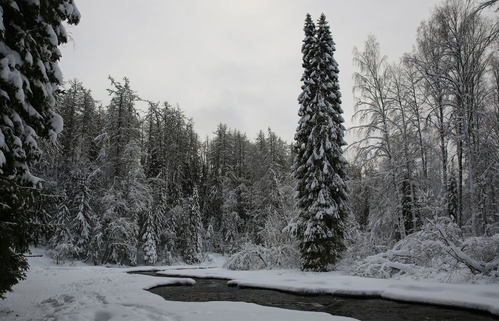 Photograph by Анна Корсакова