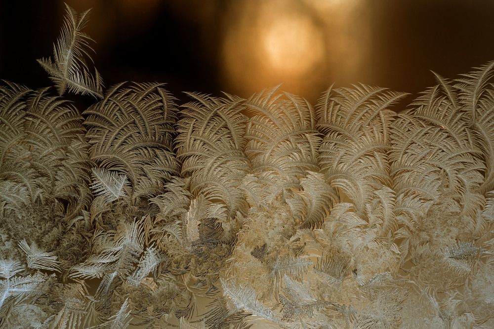 Photograph by Urszula Frydrych