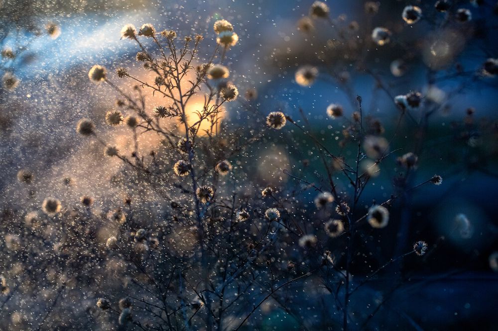 Photograph by Samir Kurtagić