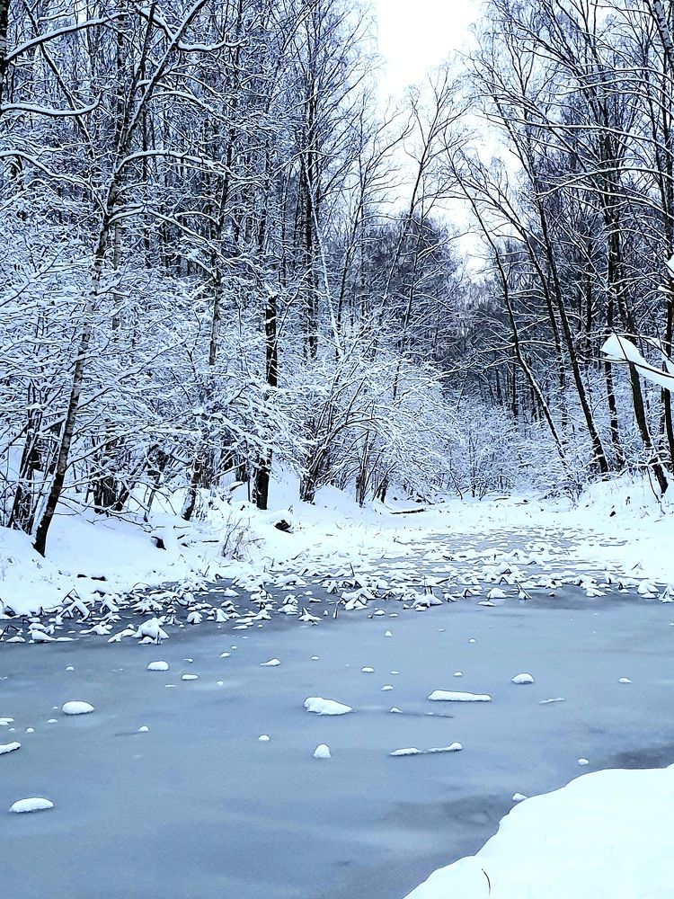 Photograph by Ева К.