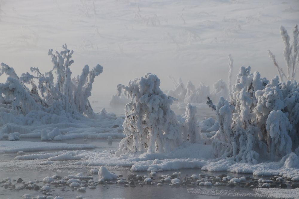 Photograph by Наталья Трифуз